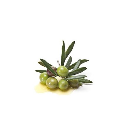 Btle Huile d'olive vierge extra 1L